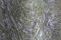 Upton Lovell fibreglass roof work